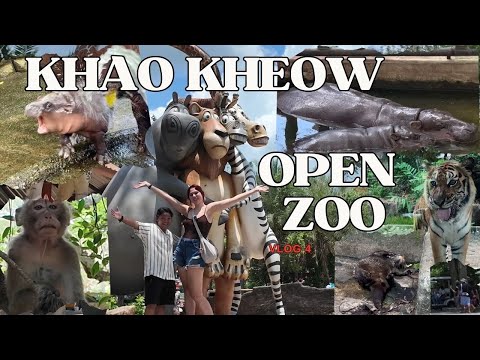 Видео: ЧЕТВЕРТЫЙ влог! Khao Kheow Open Zoo: Му Денг | Кормлю Жирафов и Тигров • Thailand • Moo Deng