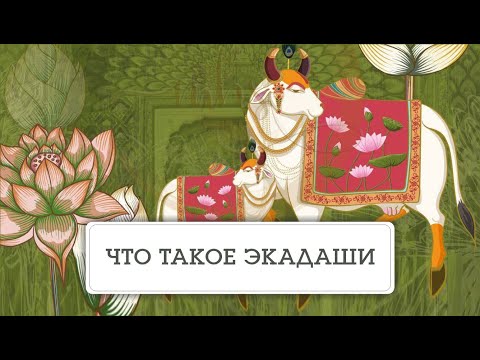 Видео: ЭКАДАШИ. Могущественный пост, очищающий любую карму. - Наталья Савич