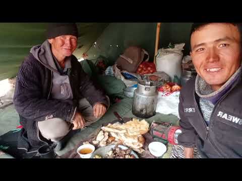 Видео: жайлов сентябр ойлари