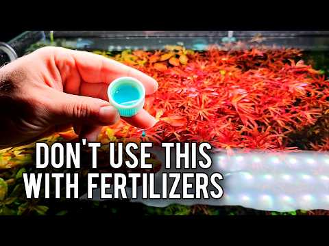 Видео: Ошибки в «Аквариуме», из-за которых я чуть не бросил его