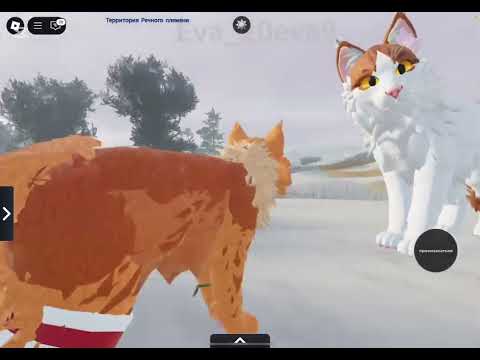 Видео: Дикая кошка 1 серия