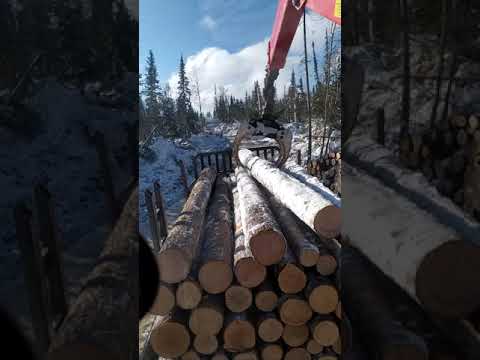 Видео: Погрузка сортимента 6м.