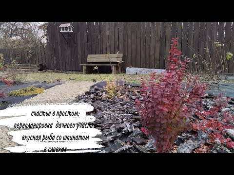Видео: ♥️РЫБА В СЛИВКАХ 😍 ДАЧА 🥰 ОСЕНЬ 🥰