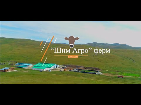 Видео: Жигд Хүч компаний харьяа Шим Агро ферм