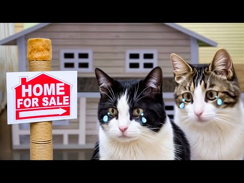 Видео: Наш Дом Был Продан. Где Мы Будем Жить?