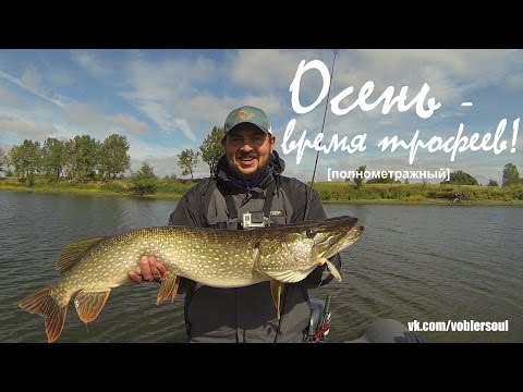 Видео: Ловля крупной щуки осенью. Джиг - спиннинг в сентябре. Видео отчет от 1 сентября 2016.