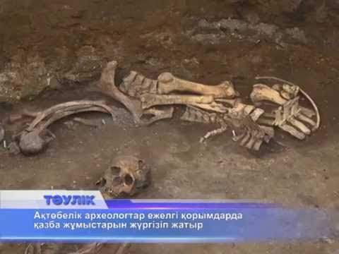Видео: Қарғалы ауданынан 4 ежелгі қорған табылды
