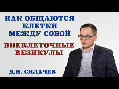 Видео: Как общаются клетки между собой. Внеклеточные везикулы