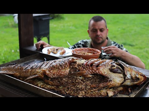 Видео: КАРП 20КГ ПО-РУССКИ. ФАРШИРОВАННАЯ РЫБА В ПЕЧИ