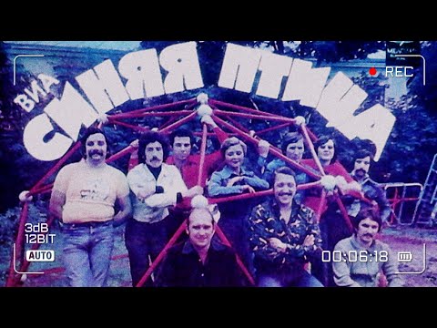 Видео: 10 песен ВИА "Синяя Птица"!)))