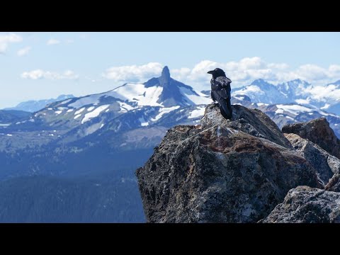 Видео: Душевная Памирская песня - Chibùdak ke parwoz