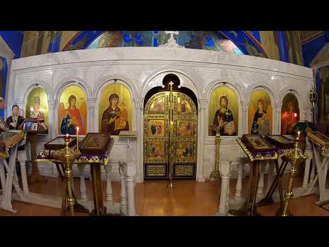 Видео: Неделя 16-я по Пятидесятнице. по Вознесении. 28-09-2025