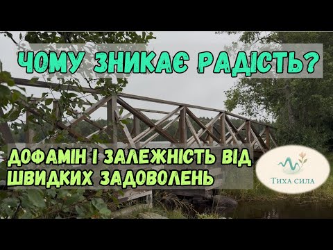 Видео: Чому зникає радість? Дофамін і залежність від швидких задоволень