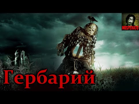 Видео: Гербарий - Сборник страшных историй. Часть 2. Страшные истории на ночь. Страшилки на ночь