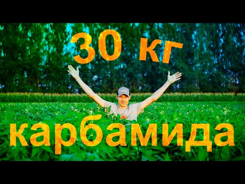 Видео: Соя на стероидах: 30 кг Карбамида | Полигон Агро