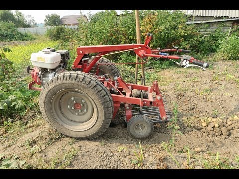 Видео: Уборка картофеля мотоблоком 2019