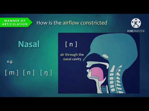 Видео: Практикалық фонетика  Ағылшын дауысты және дауыссыз дыбыстарының артикуляциясы