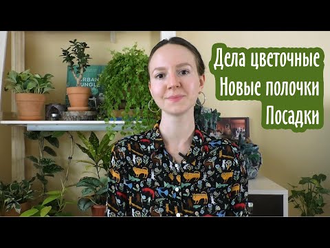 Видео: Влог: Дела цветочные | Новые полочки | Посадки-пересадки