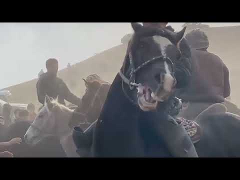 Видео: 08.02.2022 бузкаши н чайхун