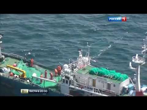 Видео: Стена смерти  моряки браконьеры угрожают повторить катастрофу 50 х годов