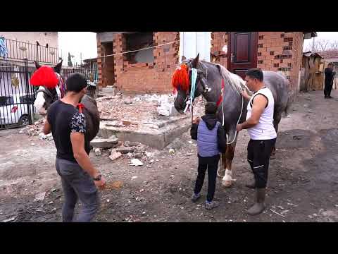 Видео: Тодоров ден кв.главеви