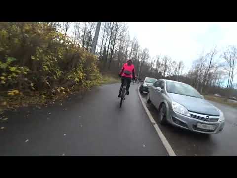 Видео: Озеро Разлив 04.11.2025