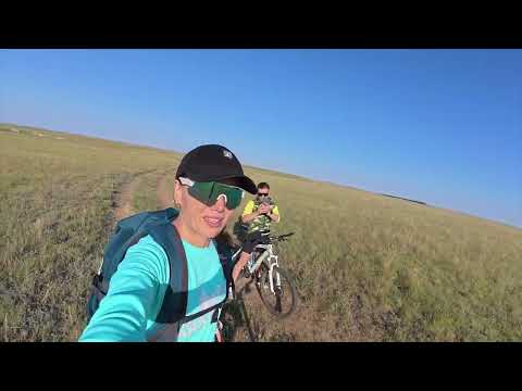 Видео: Поехали кататься. Алабай все испортил