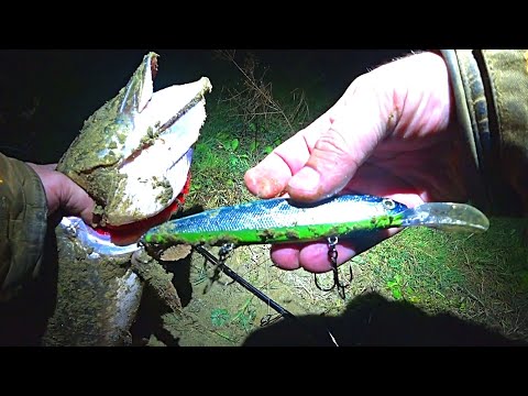 Видео: Ловля ЩУКИ и СУДАКА на воблеры и блёсны! Рыбалка на Оке!