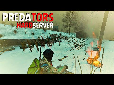 Видео: PREDATORS DAYZ [HARD] • УЮТНЫЙ ДОМ "ПОИСК" #dayz