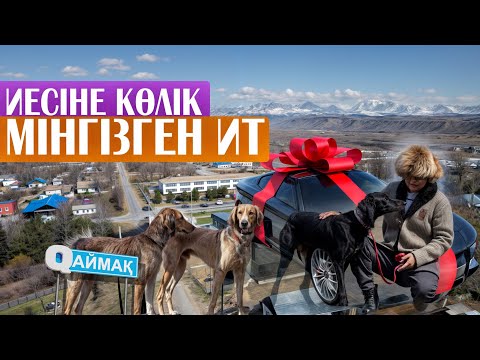 Видео: QАЙМАҚ: Тұрпан ауылы