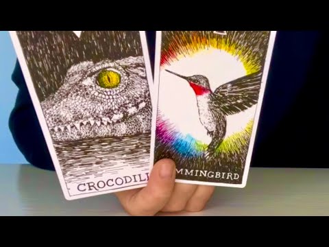 Видео: ОВЕН! Ноябрь 2025! Расширить перспективу вашей жизни! 