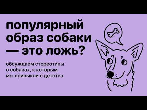 Видео: Популярный образ собаки — это ложь? Стереотипы о собаках, часть 2