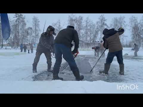 Видео: Түүлээххэ муус ылыытын күрэҕэ
