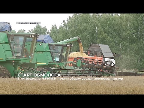 Видео: В «Агрофирме «КРиММ» начали уборку урожая