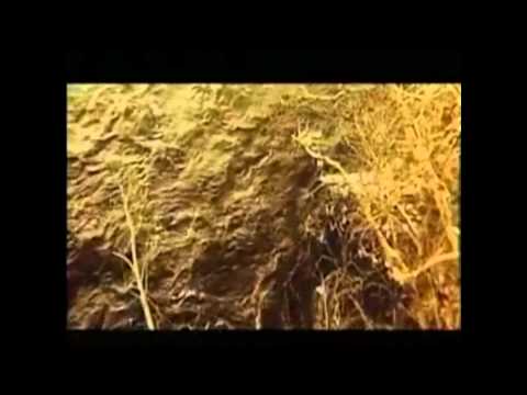Видео: Kyrgyz A .Ogonbaev - Kuydum Chok( Қырғыз А .Оғонбаев - Куйдум Чок )