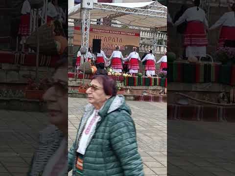 Видео: Празник на плодородието в град Лясковец 