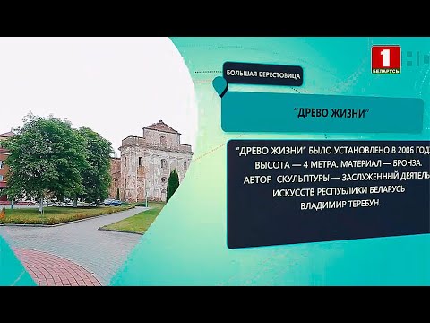 Видео: Маршрут построен. Большая Берестовица. Выпуск 30.05.2021