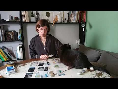 Видео: 🔥 Я и Он. Как он будет себя вести?