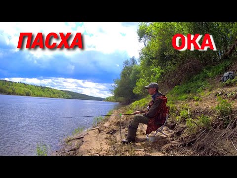 Видео: ЛОВЛЮ НА ДОНКУ С КОРМУШКОЙ. РЫБАЛКА В ПАСХУ НА ОКЕ.