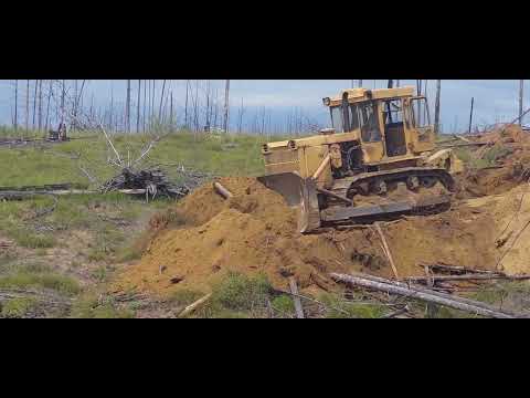 Видео: Старичок в работе! Бульдог Т-170