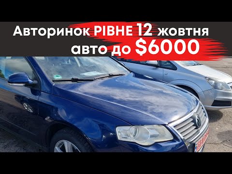 Видео: Бюджетні авто до $6000 на Рівненському авторинку 12 жовтня #авторинокрівне