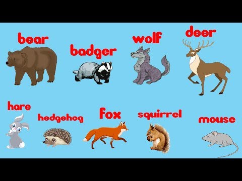 Видео: Английский для детей ЛЕГКО И ПРОСТО | Учим животных на английском языке |  Дикие животные для детей
