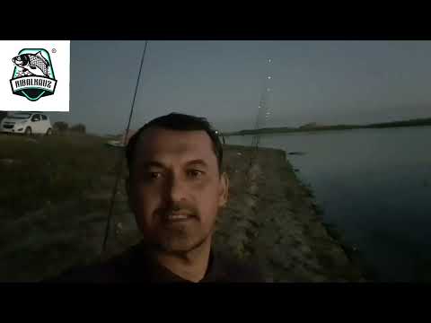 Видео: Как поймать крупного сазана на удочку. Ташморе (Туябугуз) водохранилище.