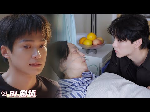 Видео: Разбитое сердце и смерть мамы — Дабao остался один! 💔 Последние слова матери: что будет с их любовью