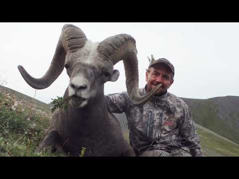 Видео: Охота на Якутского Снежного барана 2015