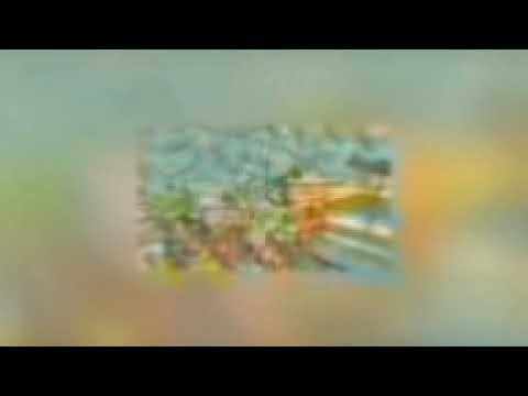 Видео: [Глобальный Лорд 100% шанс выпадения] главы 121-180 Альтернативный сюжет Глобальный Лорд