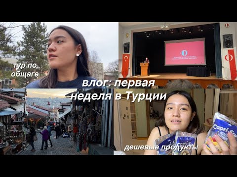 Видео: exchange в Турции: влог #1 | общежитие, ориентационная неделя, выходные в городе