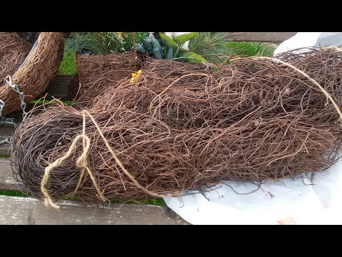 Видео: Корни папоротника для орхидей и где я их беру)). В описании под видео опровержение.