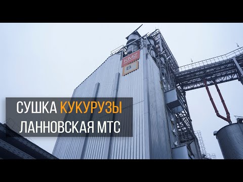 Видео: Как сушат кукурузу на Ланновской МТС | PROсушка | Элеваторист