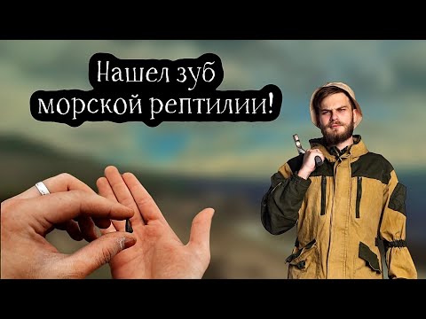 Видео: ЗУБ ИХТИОЗАВРА НАЙДЕН! А также зубы акул, ископаемые кораллы и множество других окаменелостей!